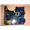 samsung-r580-anakart