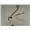 asus-f8v-data-kablo-