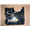samsung-r580-anakart